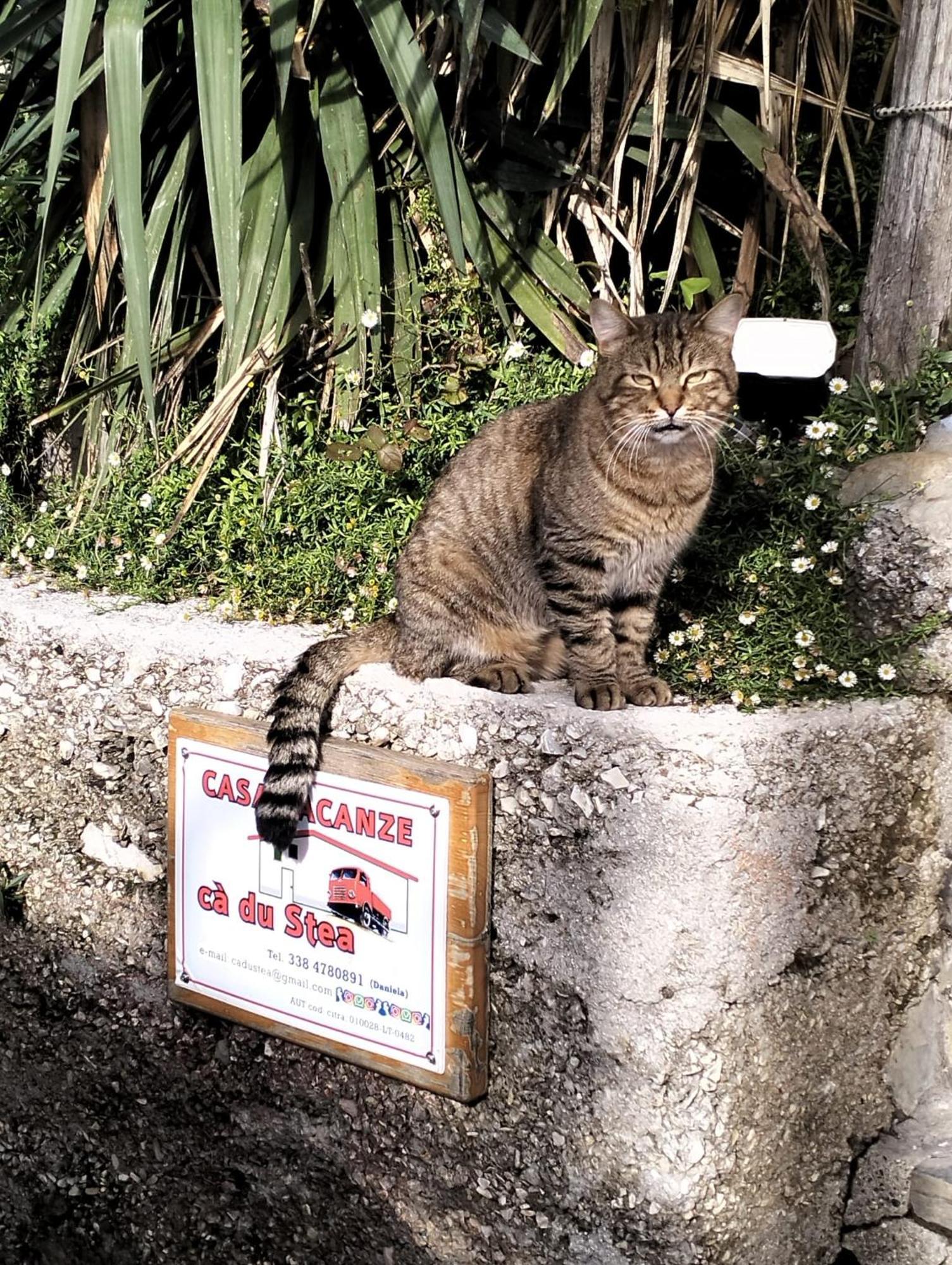 ラヴァーニャ Ca Du Steaヴィラ エクステリア 写真